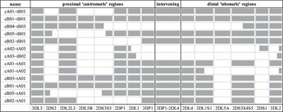 A Detailed View of KIR Haplotype Structures and Gene Families as Provided by a New Motif-Based Multiple Sequence Alignment